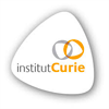 insitue